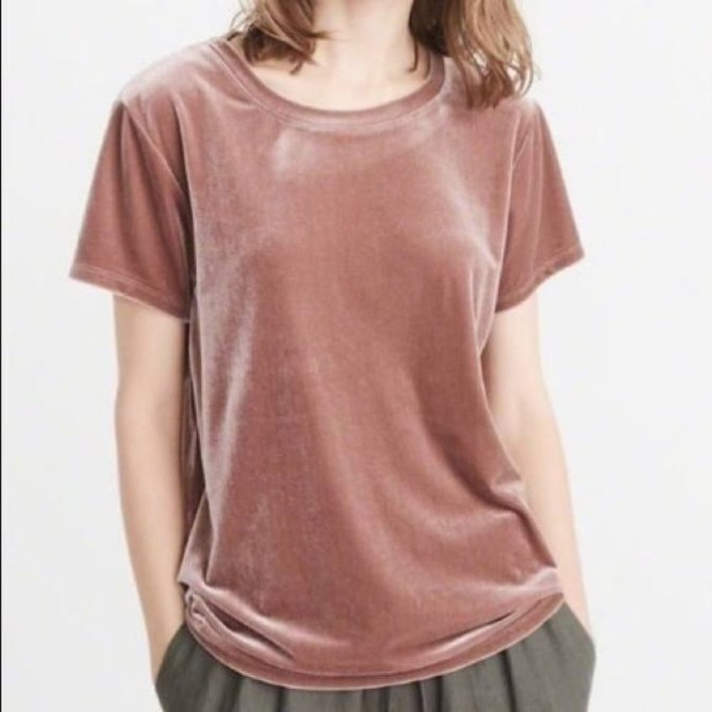 NWOT Abercrombie & Fitch velvet tee